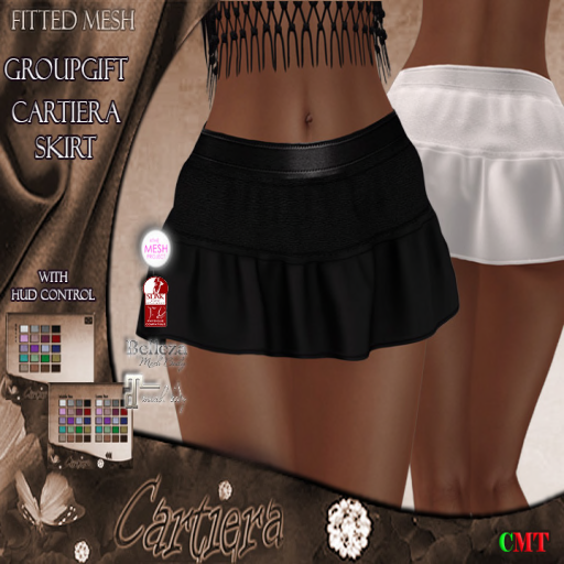 Cartiera Skirt